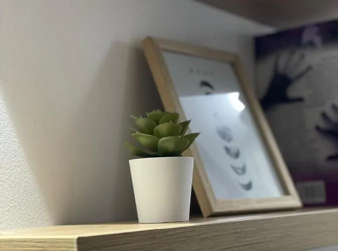 Provence New * Rednek