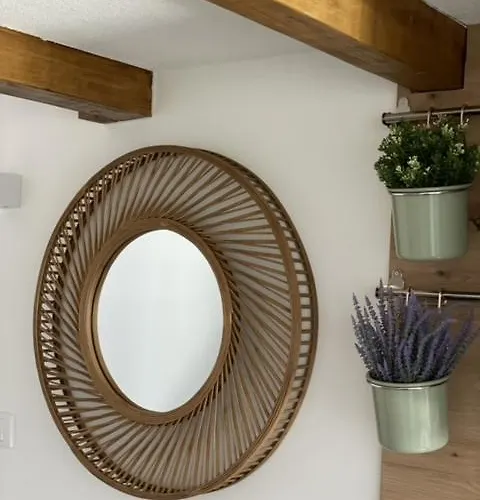 Provence New * 维尔蒂尼克