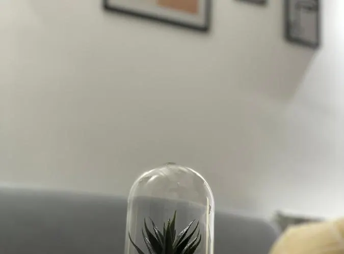 公寓 Provence New *